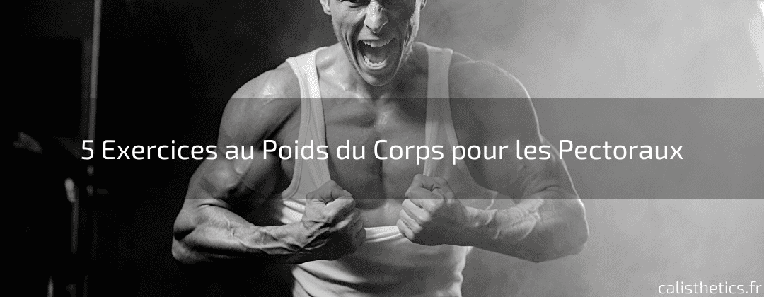 5 Exercices Poids du Corps Pectoraux