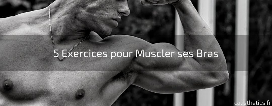 5 Exercices pour Muscler ses Bras avec le Calisthenics