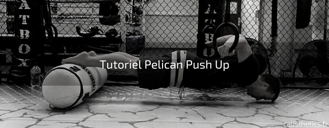 Tutoriel Pelican Push Up