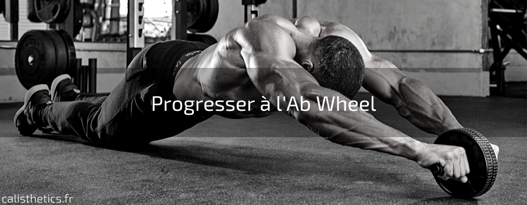 Ab Wheel : Programme De Progression