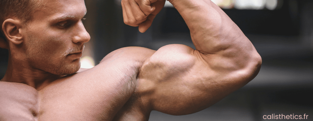 musculation biceps sans matériel