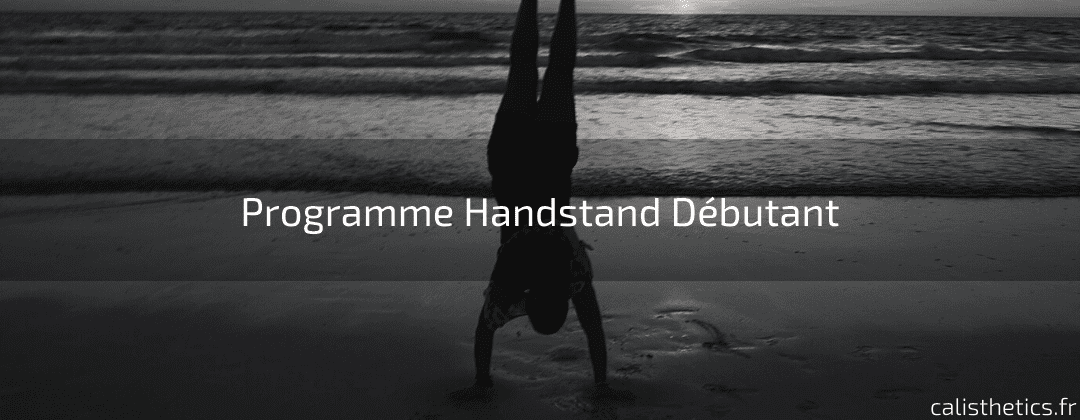 Programme Handstand Débutant