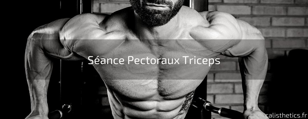 Séance Pectoraux Triceps