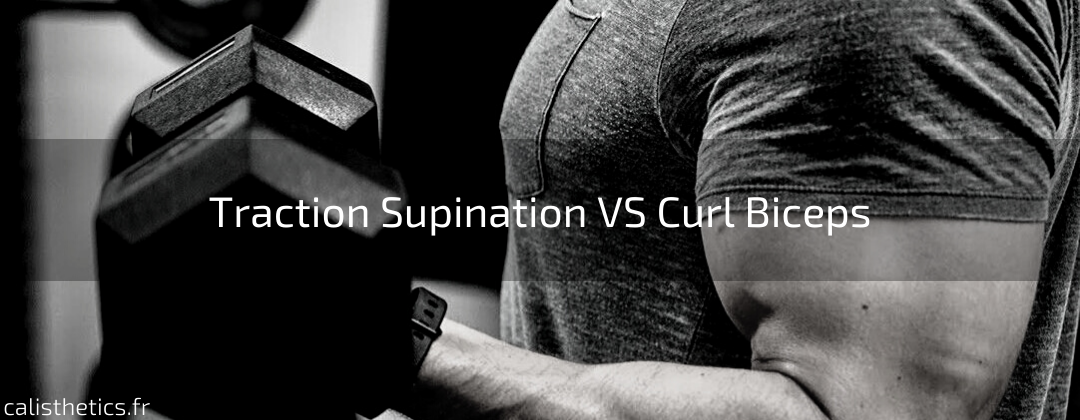 Traction Supination VS Curl Biceps